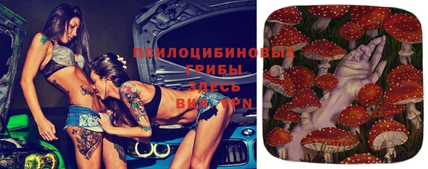 амфетамин Алексеевка