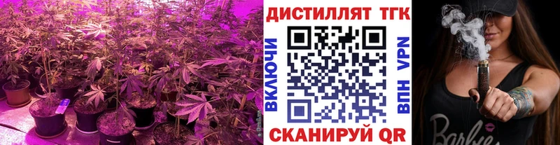 ТГК концентрат Ишим