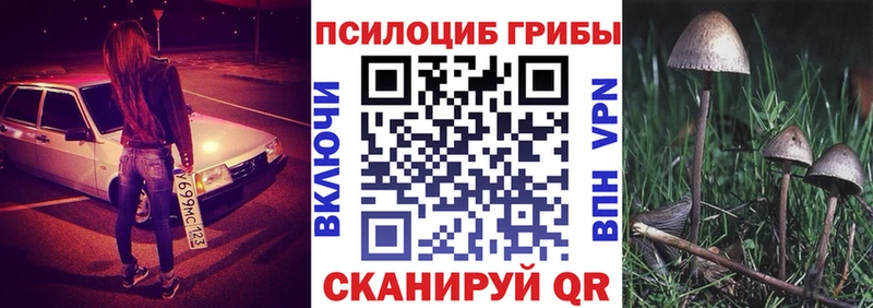 где продают   Ишим  Галлюциногенные грибы MAGIC MUSHROOMS 